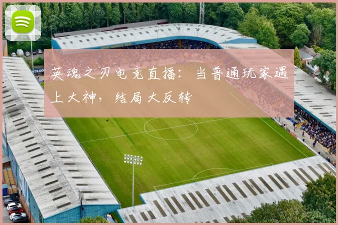 英魂之刃电竞直播：当普通玩家遇上大神，结局大反转