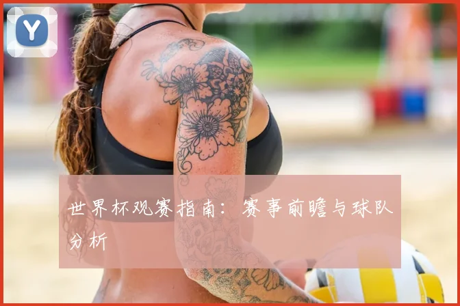 世界杯观赛指南：赛事前瞻与球队分析