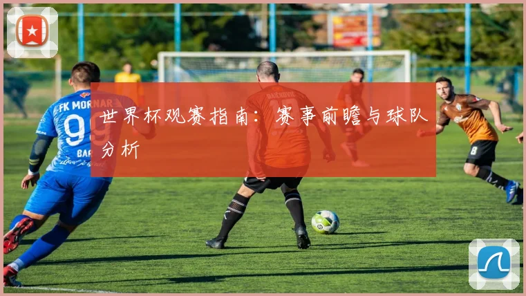 世界杯观赛指南：赛事前瞻与球队分析