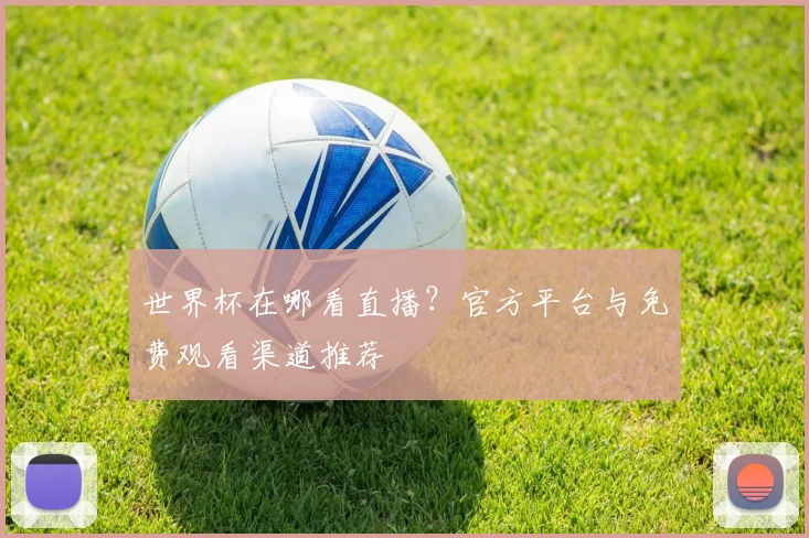 世界杯在哪看直播？官方平台与免费观看渠道推荐