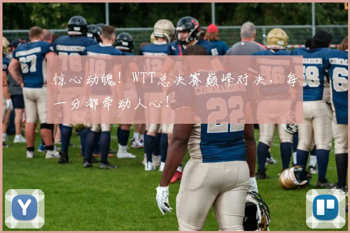 惊心动魄！WTT总决赛巅峰对决，每一分都牵动人心！